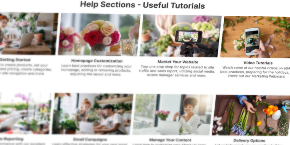 Help Section Project Preview Image